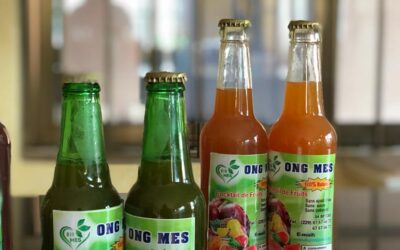 Bénin : Parfaite Segoun Gbessinon veut redynamiser le marché de jus de fruits par le bio